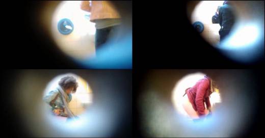 The thumbnail of French Toilet Spy