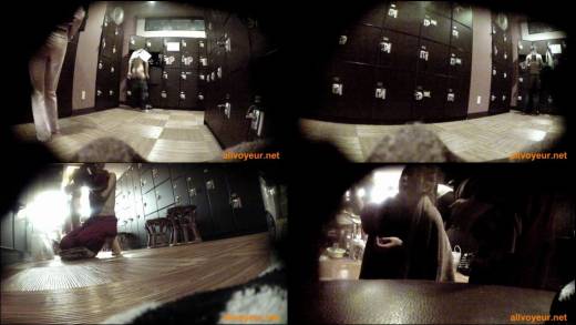 The thumbnail of sdh25-028