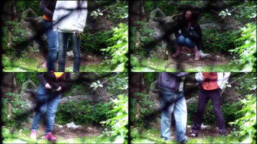 The thumbnail of Forest_Toilet_13