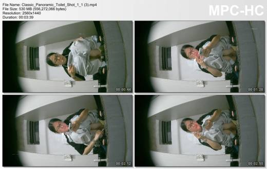 Classic_Panoramic_Toilet_Shot_1