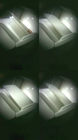 Thai_woman_toilet_2